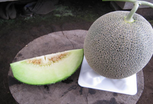 画像をギャラリービューアに読み込む, ペルルメロン 6月上旬~7月下旬