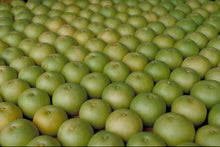 画像をギャラリービューアに読み込む, 【御進物用】二十世紀(梨) 9月上旬~9月下旬